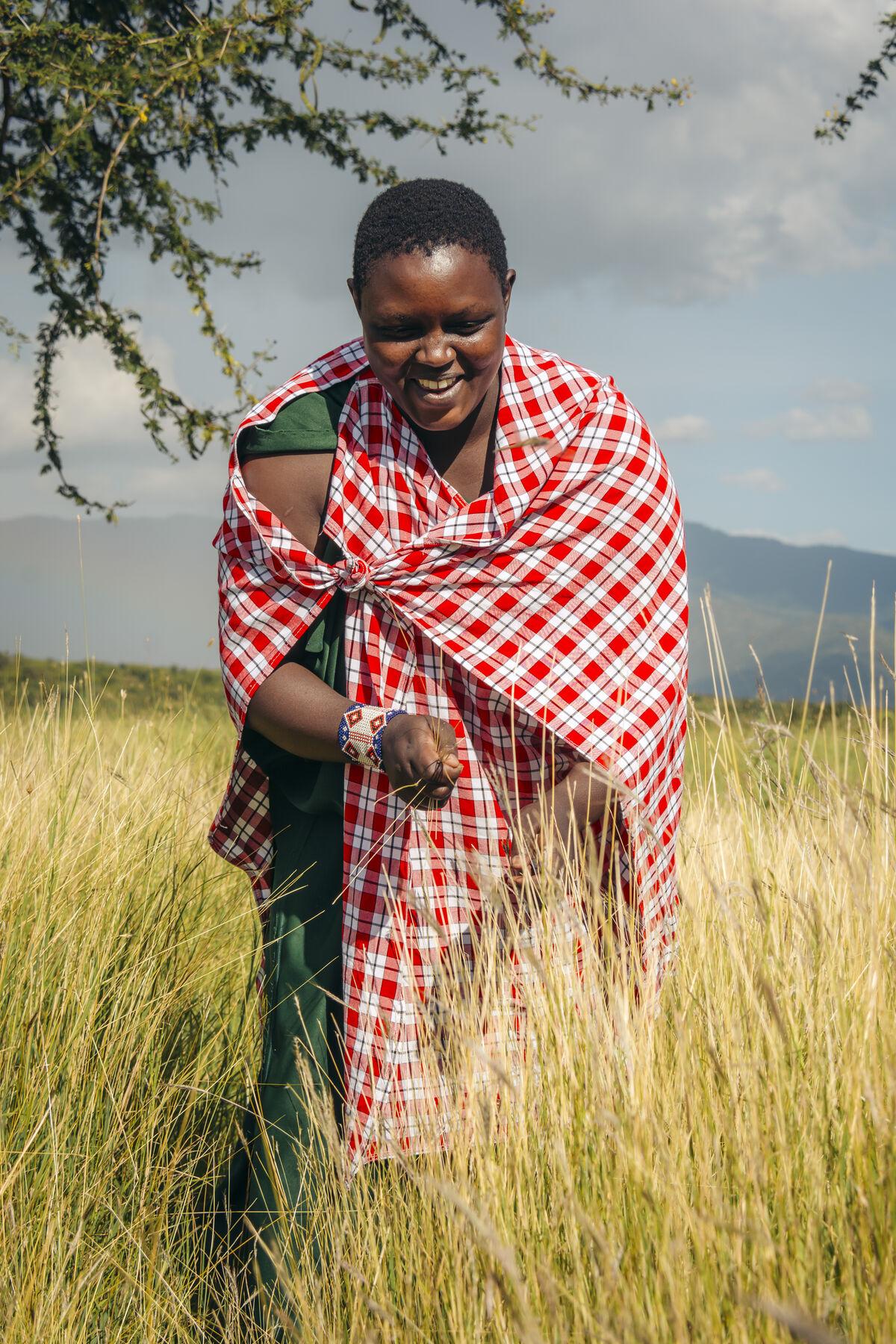 Grass Seed Banks — Pastoral Women’s Council
