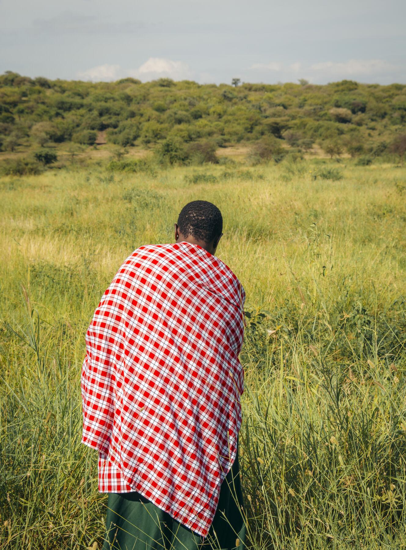 Grass Seed Banks — Pastoral Women’s Council