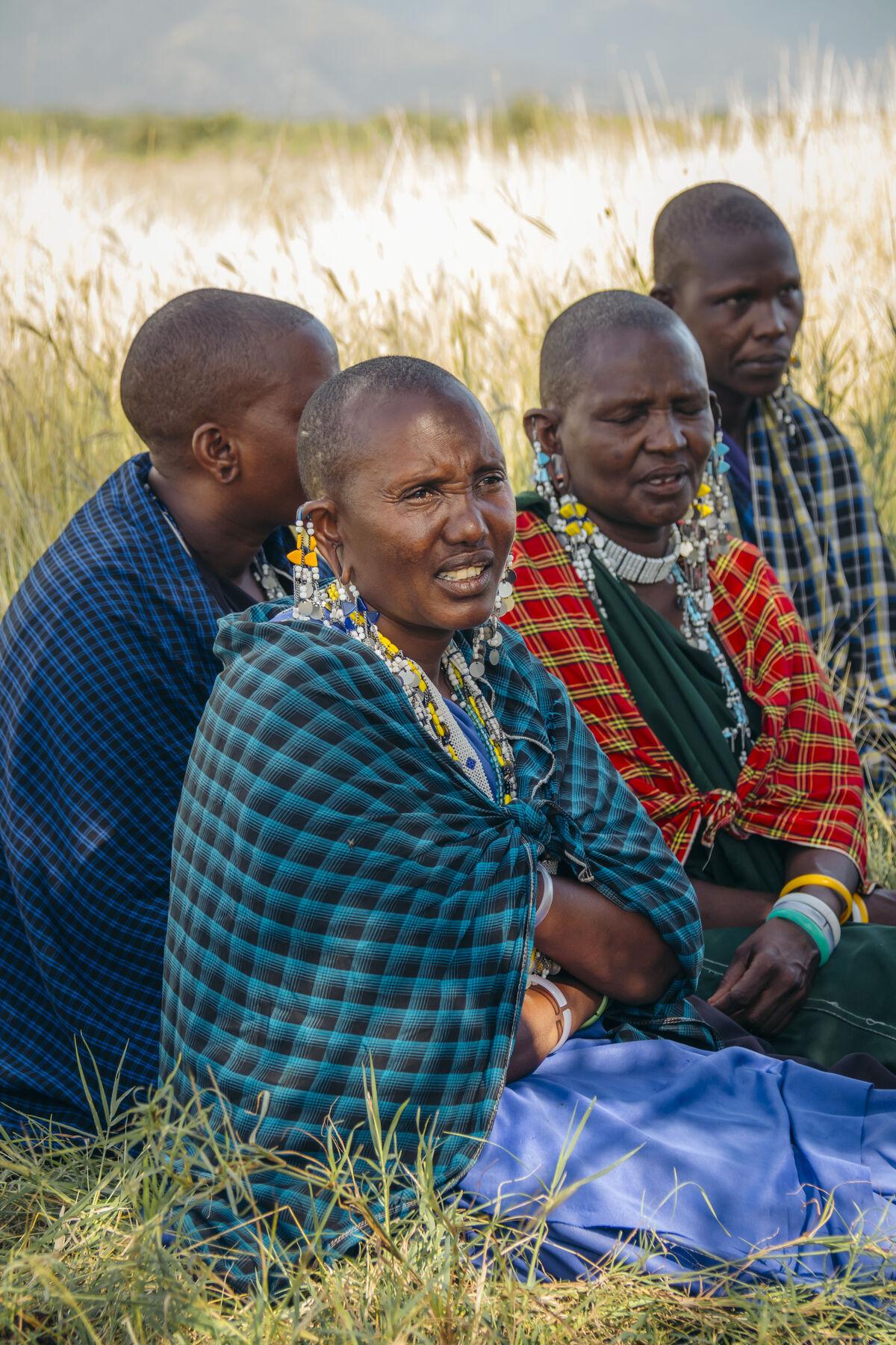 Grass Seed Banks — Pastoral Women’s Council