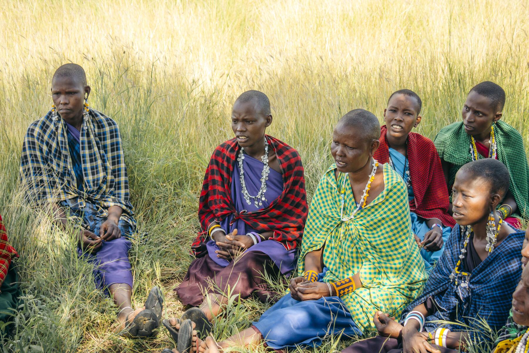 Grass Seed Banks — Pastoral Women’s Council